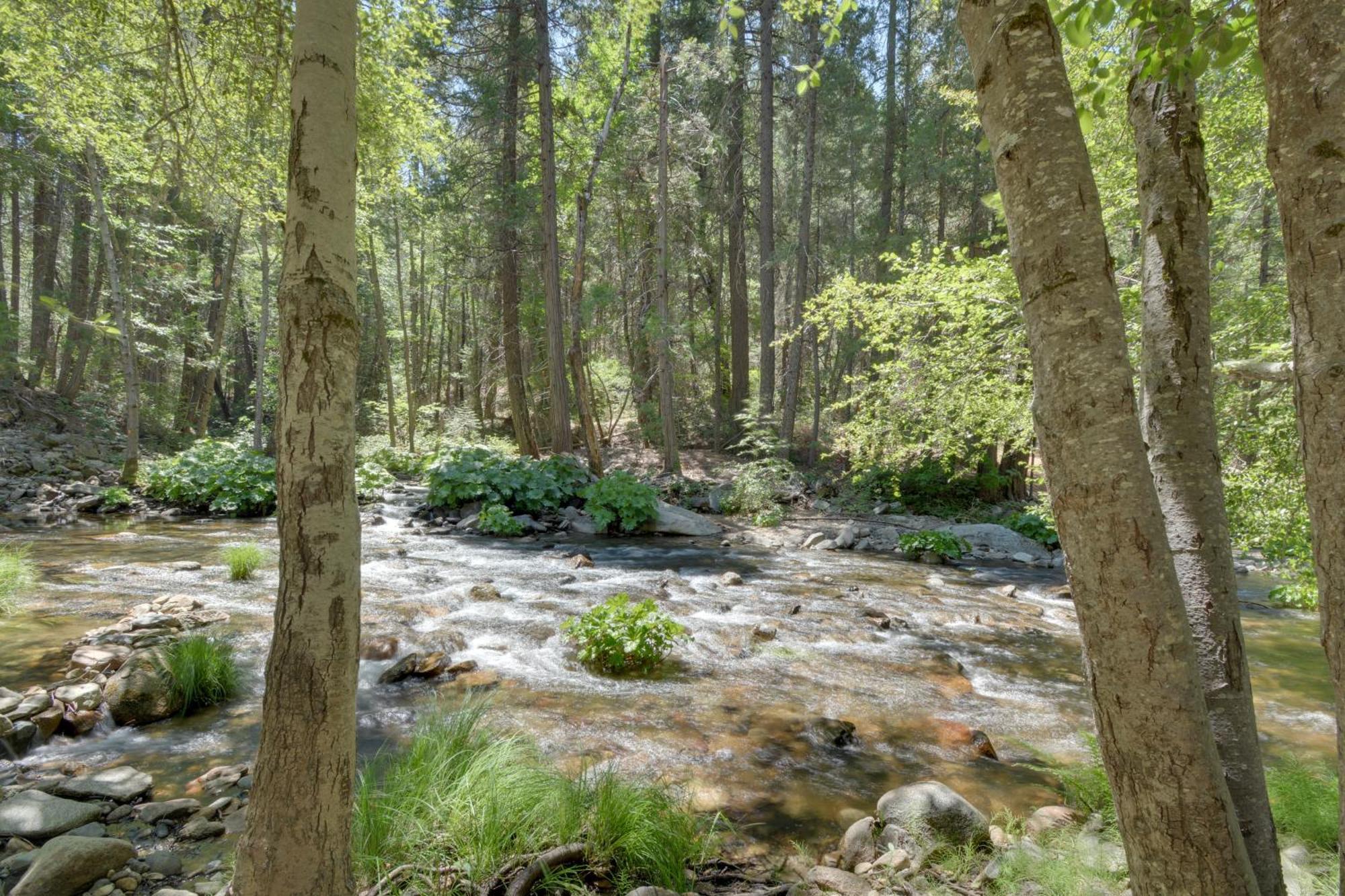 Riverfront Home Near Yosemite National Park! Groveland Esterno foto